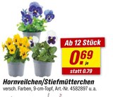 Hornveilchen/Stiefmütterchen Angebote bei toom Baumarkt Darmstadt für 0,69 €