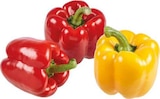 E center Coesfeld - Spanien Paprika-'Duo' rot-gelb-rot Angebot im Prospekt Spanien Paprika-'Duo' rot-gelb-rot bei E center im Coesfeld Prospekt für 2,49 €