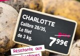 Promo CHARLOTTE à 7,99 € dans le catalogue Point Vert à Tarbes
