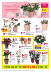 Promos Bambou dans le catalogue "Chez nous les bonnes affaires c'est toute l'année" de Delbard Bambou en promo dans le catalogue Delbard à la page 7