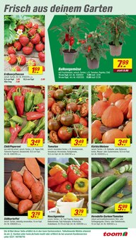 Paprika im toom Baumarkt Prospekt "Respekt, wer's selber macht." mit 26 Seiten (Reutlingen)
