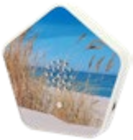 Sounds of Nature Box von OLYMP im aktuellen Kaufland Prospekt