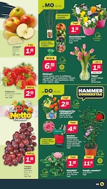 Aktueller Netto mit dem Scottie Prospekt mit Tulpen, "Günstig. Besser. Für Dich.", Seite 3