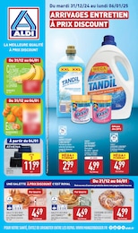 Prospectus Aldi, "ARRIVAGES ENTRETIEN À PRIX DISCOUNT",  pages, 31/12/2024 - 06/01/2025