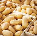 Netto Liévin - Promo Pommes de terre de consommation à chair ferme nouvelle récolte Promo Pommes de terre de consommation à chair ferme nouvelle récolte à 2,19 € dans le catalogue Netto à Liévin
