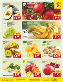 Äpfel im Netto Marken-Discount Prospekt "Aktuelle Angebote" mit 56 Seiten (Jena)