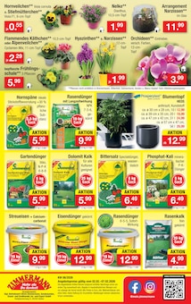 Blumentopf im Zimmermann Prospekt "Aktuelle Angebote" mit 10 Seiten (Hildesheim)