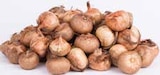 Großblumige Krokusse Prachtmischung im Angebot bei Pflanzen Kölle in Fürth Großblumige Krokusse Prachtmischung Angebote von Kölles Beste bei Pflanzen Kölle Fürth für 9,99 €