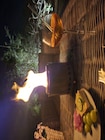 Tischfeuer Pureflame bei PROFI Wesch im Weberstedt Prospekt für 19,99 €