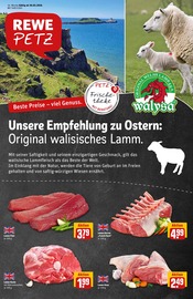 REWE Discounter Prospekt der aktuellen Woche mit 32 Seiten, gültig von 30.03.2026 bis 04.04.2026, in Bornheim und Umgebung Aktueller REWE Discounter Prospekt in Bornheim und Umgebung, "Dein Markt" mit 32 Seiten, 30.03.2026 - 04.04.2026