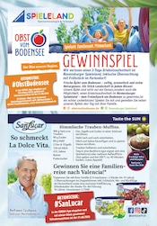 Aktueller EDEKA Prospekt mit Spielzeug, "Wir lieben Lebensmittel!", Seite 32
