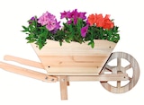 Aktuelles Holz-Pflanzschubkarre 69x24x28 cm Angebot bei Wreesmann in Dresden ab 14,99 €