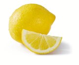 Aktuelle Zitronen Angebote bei Lidl in Bielefeld Aktuelles Zitronen Angebot bei Lidl in Bielefeld ab 0,89 €