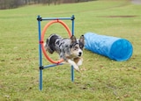 Aktuelles Agility-Sortiment Angebot bei ALDI Nord in Recklinghausen ab 9,99 €