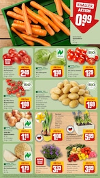 Gartenmöbel Angebot im aktuellen REWE Prospekt auf Seite 5