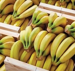 Banane Cavendish en promo chez Netto Banane Cavendish dans le catalogue Netto