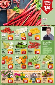 Ähnliche Angebote wie Stiefmütterchen im Prospekt "Dein Markt" auf Seite 9 von REWE in Weinheim