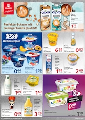 Aktueller Selgros Prospekt mit Knoblauch, "cash & carry", Seite 6