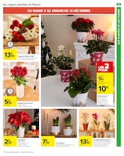 Orchidée Angebote im Prospekt "UN Noël POUR TOUS LES GOÛTS" von Carrefour Market Orchidée Angebote im Prospekt "UN Noël POUR TOUS LES GOÛTS" von Carrefour Market auf Seite 15