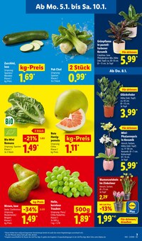 Blumen im Lidl Prospekt "LIDL LOHNT SICH" mit 61 Seiten (Bonn)