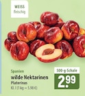 wilde Nektarinen Platerinas im Angebot bei famila Nordost in Buchholz wilde Nektarinen Platerinas Angebote bei famila Nordost Buchholz für 2,99 €