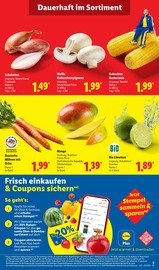 Bio im Lidl Prospekt in Oldenburg Aktueller Lidl Prospekt mit Bio, "LIDL LOHNT SICH", Seite 3