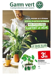 Prospectus Gamm vert à Pornic, "SPÉCIAL PLANTES D'INTÉRIEUR NOS PETITS PRIX PLANTENT LE DÉCOR", 4 pages, 29/01/2025 - 09/02/2025