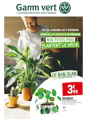 Catalogue Jardineries & Animaleries Gamm vert en cours à Rieumes et alentours, "SPÉCIAL PLANTES D'INTÉRIEUR NOS PETITS PRIX PLANTENT LE DÉCOR", 4 pages, 29/01/2025 - 09/02/2025