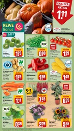 Deko im REWE Prospekt in Erlangen Aktueller REWE Prospekt mit Deko, "Dein Markt", Seite 7