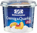 Aktuelles Cremig & Quarkig Angebot bei Netto Marken-Discount in Wuppertal ab 1,69 €