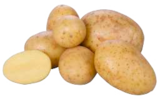 Frischemarkt Siebrecht - Speisekartoffeln Angebot im Prospekt Speisekartoffeln bei Frischemarkt Siebrecht im Prospekt "" für 1,49 €