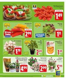 EDEKA Tischdeko im Prospekt EDEKA Tischdeko im Prospekt