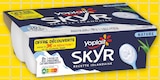 Skyr à Bi1 dans Puiseaux Skyr à Bi1 dans Puiseaux