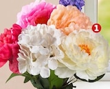 Dekorative Schnittblume Angebote bei Penny Borken für 1,99 €