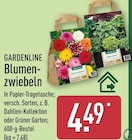 Blumenzwiebeln Angebote von Gardenline bei ALDI Nord Gelsenkirchen für 4,49 €