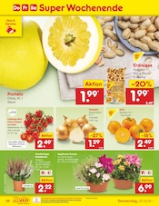 Ähnliche Obstbaum Angebote im Prospekt "Aktuelle Angebote" von Netto Marken-Discount in Gronau Ähnliche Angebote wie Obstbaum im Prospekt "Aktuelle Angebote" auf Seite 38 von Netto Marken-Discount in Gronau