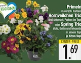 Hornveilchen Trio oder Spring Trio von  im aktuellen EDEKA Prospekt für 1,69 €