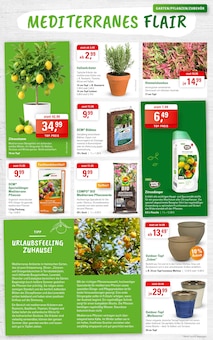 Blumentopf im ZG Raiffeisen Prospekt "GARTENLIEBE ENTDECKEN - FRÜHLING ERLEBEN!" mit 8 Seiten (Karlsruhe)