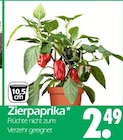 Zierpaprika im Angebot bei Wreesmann in Aurich Zierpaprika Angebote bei Wreesmann Aurich für 2,49 €