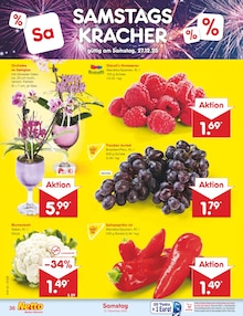 Pflanzen im Netto Marken-Discount Prospekt "Aktuelle Angebote" mit 58 Seiten (Jena)