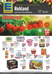 EDEKA Prospekt "Wir lieben Lebensmittel!" für Naunhof, 4 Seiten, 24.11.2025 - 29.11.2025