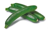 Zucchini im aktuellen Netto mit dem Scottie Prospekt