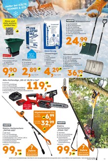 Pflanzen im Globus-Baumarkt Prospekt "Immer eine Idee besser" mit 15 Seiten (Dresden)