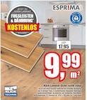 Klick-Laminat Eiche rustik natur Angebote von ESPRIMA bei Wilhelm Pelster GmbH & Co. KG Dülmen für 9,99 €