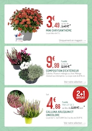 Prix et réduction Plante D'intérieur dans le prospectus Botanic en cours Offre Plante D'intérieur dans le catalogue Botanic du moment à la page 3