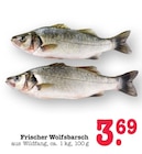 Wolfsbarsch bei E center im Offenbach Prospekt für 3,69 €