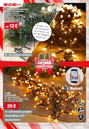 Weihnachtsbeleuchtung im Woolworth Prospekt "Aktuelle Angebote" auf Seite 41