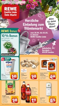 REWE Prospekt Dein Markt mit 22 Seiten