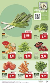 Salat im combi Prospekt in Paderborn Aktueller combi Prospekt mit Salat, "Markt - Angebote", Seite 3