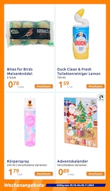 Aktueller Action Prospekt mit Weihnachten, "kleine Preise, grosse Freude!", Seite 3